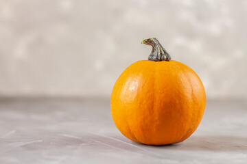 Thanksgiving Day. Thanksgiving Autumn background of pumpkins. Thanksgiving composition. Copy space