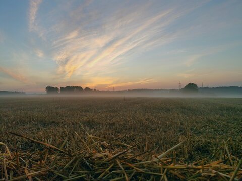 Sonnenaufgang, Nebel, in den fr&uuml;hen Morgenstunden, Strohballe