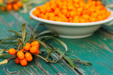 fresh sea buckthorn close-up. healthy food, healthy food
