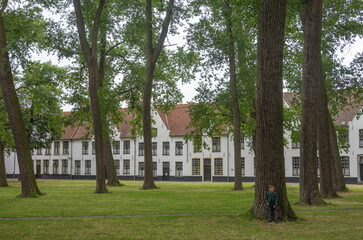 Brugge, Flanders, Belgium - August 4, 2021: Green park courtyard with tall trees and white housing as backdrop in Beguinage.