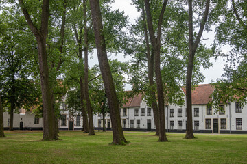 Fototapeta na wymiar Brugge, Flanders, Belgium - August 4, 2021: Green park courtyard with tall trees and white housing as backdrop in Beguinage.