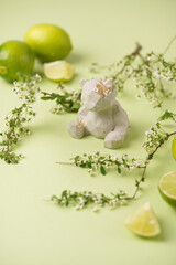 A grey figurine of a teddy bear on a minty green background surrounded by limes and tree branches