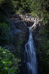 Fototapeta na wymiar Waterfall along the road to Hana, Maui, Hawaii