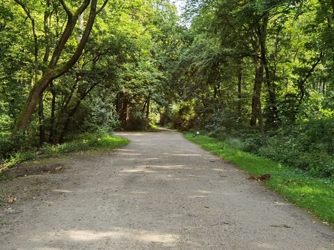 Forest path very beautifully green in summer © Freiberufler