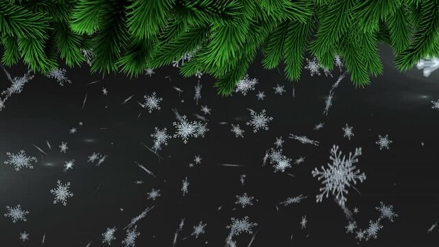 Animation of christmas tree branches over falling snow