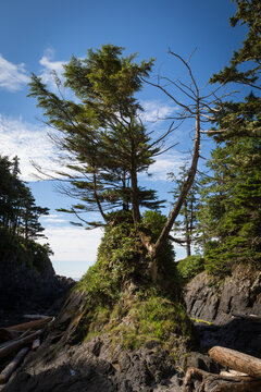 Brown's Bay near Ucluelet on the west coast of Vancouver Island, British Columbia, Canada
