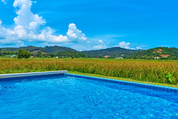 Fototapeta premium The view from the pool to the field and mountains. Swimming pool in an unusual location