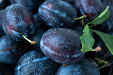 ripe sweet blue plums macro photo