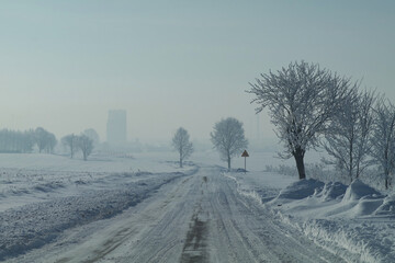 Krajobraz zimowy w Wschodniej Europie.