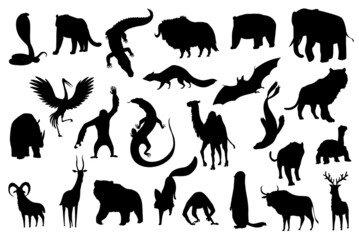 Collection of cute animals. Hand drawn silhouette animals which are common in Asia. Icon set isolated on a white background