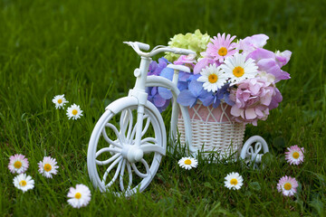 The decor of a white bicycle with a basket of flowers of hydrangea, aster, chamomile and sweet peas as a gift against the backdrop of a green grass lawn. Postcard for congratulations.
