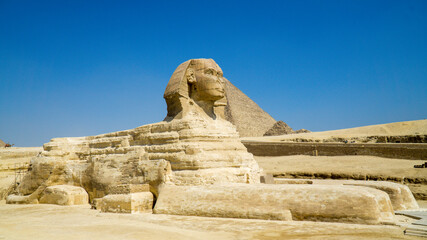 Sfinks z Egiptu - obrazy, fototapety, plakaty
