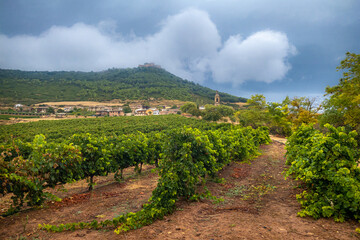 Fototapeta na wymiar View of the Town and Castle of Villamayor de Monjardin through the Green Vineyards of Navarra, along the Way of St James Pilgrim Trail Camino de Santiago