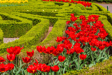 Flowers in the Dutch open air museum