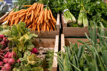 Verduras en el mercado