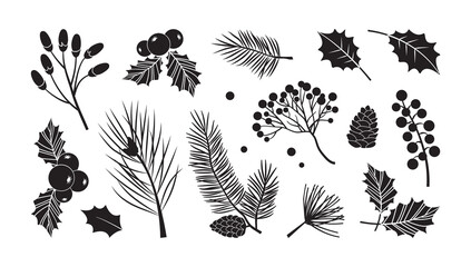 Christmas vector plants, branches, fir, pine cones, evergreen tree set, holiday decoration, black winter leaf and twig isolated on white background. Nature illustration