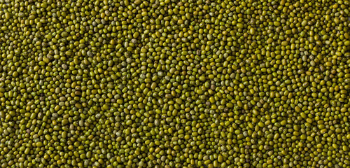 Beans mung bean, background or texture, top view