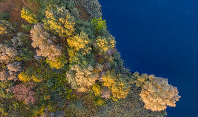 Naklejka na ściany i meble A small island on the lake with yellow autumn trees.