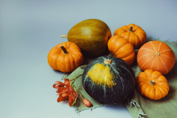 Orange and green decorative pumpkins, apples, nuts and fallen leaves in autumn harvest composition on trendy earth tones background. Fall, thanksgiving minimalism concept. Selective focus. Copy space.