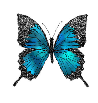 Blue abstract butterfly. Vector illustration