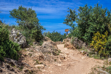 Fototapeta na wymiar Trail in Zingaro natural reserve on the shore of Castellammare Gulf on Sicily Island, Italy