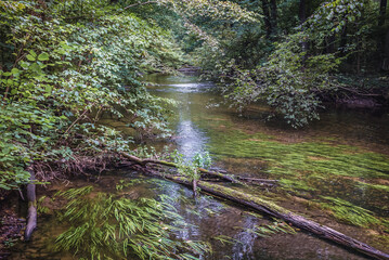 River Wel in Piekielko forest Nature Reserve, located in area of Welski Landscape Park, Warmia and...