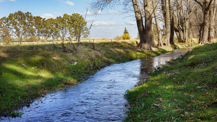 Fototapeta na wymiar Peaceful landscape. River between trees and greenery