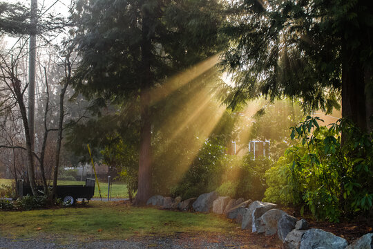 Morning sun rays through the mist