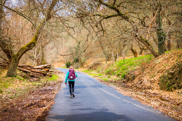 Fototapeta premium Pilgrim Girl Hiking outside Villafranca del Bierzo on the Way of St James Pilgrimage Trail Camino de Santiago