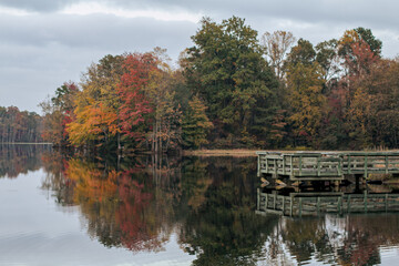 Obraz premium autumn landscape with lake and trees