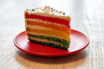 Piece of fresh baked colorful birthday cake