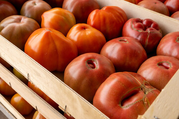 Tasty big ripe french tomatoes in wooden boxes on farmers market in Provence