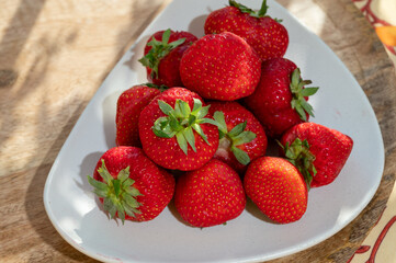 New harvest of fresh ripe red strawberry in Provence, France