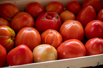 Tasty big ripe french tomatoes in wooden boxes on farmers market in Provence