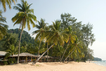 Tropical asian beach with palm trees on Malaysian island