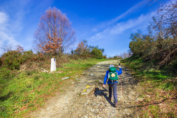 A Lone Girl Hiker Walking Hiking up a Hill with the Yellow Arrow Way Mark outside Sarria along the...