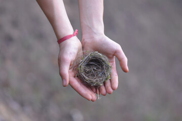 Top view of a female's hand holding a bird's nest