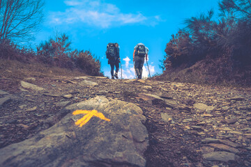 Two Pilgrims Hiking up a Hill with the Yellow Arrow Way Mark outside Sarria along the Way of St James Pilgrimage Trail Camino de Santiago - obrazy, fototapety, plakaty