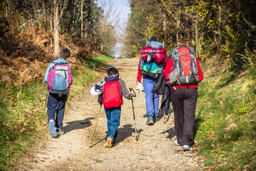 Family Adult and Children Pilgrims Hiking with Backpacks Gear along the Pilgrimage Trail Way of St James - Camino de Santiago - obrazy, fototapety, plakaty