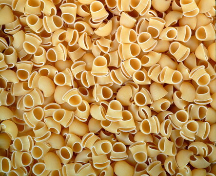 Gobbi, classic Italian dry pasta