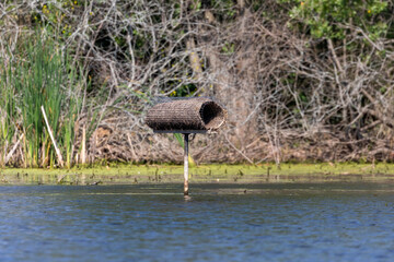 Duck nesting tube, artificial nest for ducks