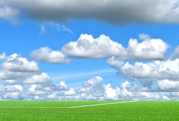 green grass and blue sky