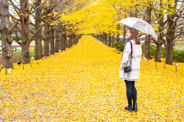 japanese, japan, leaves, maple tree, nature, outdoor, park, winter, woman, asian, asia, autumn, beautiful, beauty, bench, botany, carefree, chair, cold, colorful, corridor, environment, fall, female, 