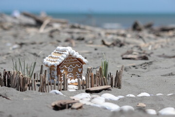 Mini house, shell on the beach