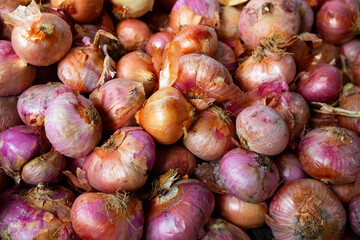 Closeup of fresh ripe onion on market counter, onion background..