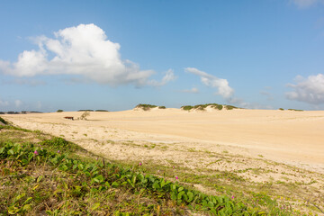 Obraz premium Amanhecer numa praia deserta com o resplendor da natureza