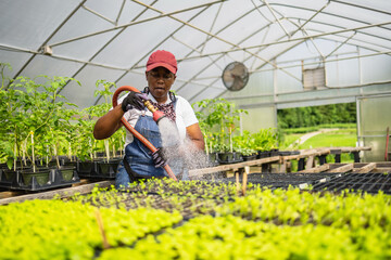 Female farmer watering plants in greenhouse