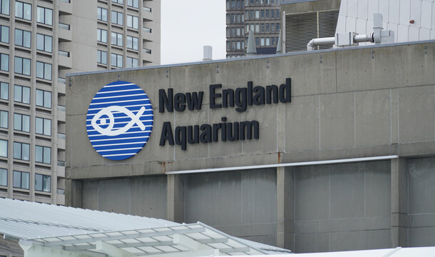 New England Aquarium In Boston - BOSTON , MASSACHUSETTS