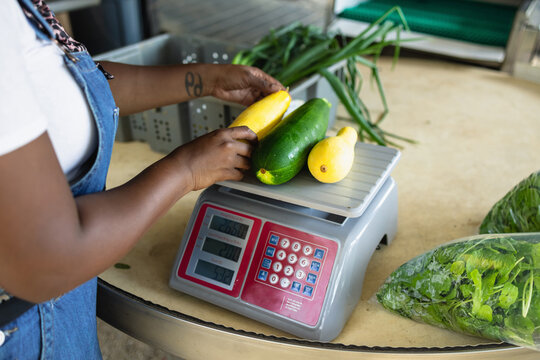 Close up of farmer weighting freshly picked green and yellow zucchini