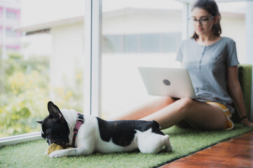 Funny and cheerful girl watching comedy movie on laptop with spectacles and pet dog while relaxing at home sitting on couch